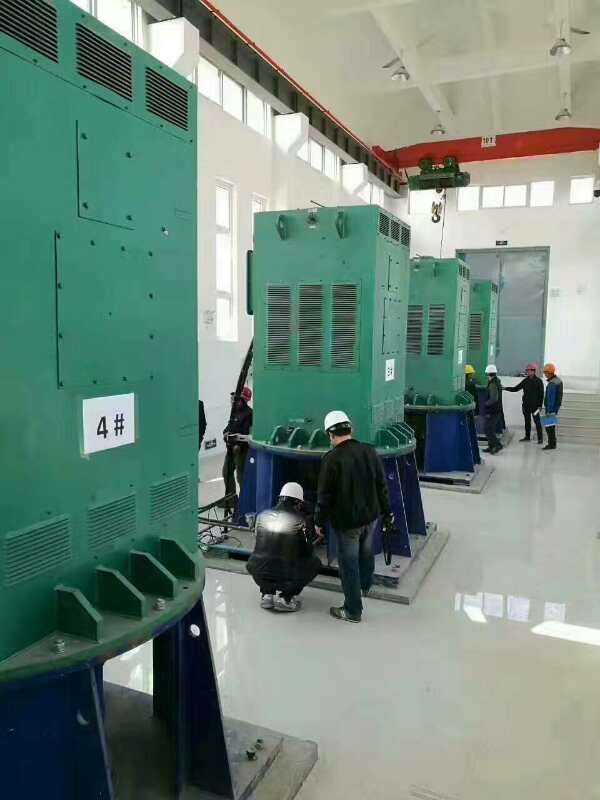 新疆某污水处理厂使用我厂的立式高压电机安装现场